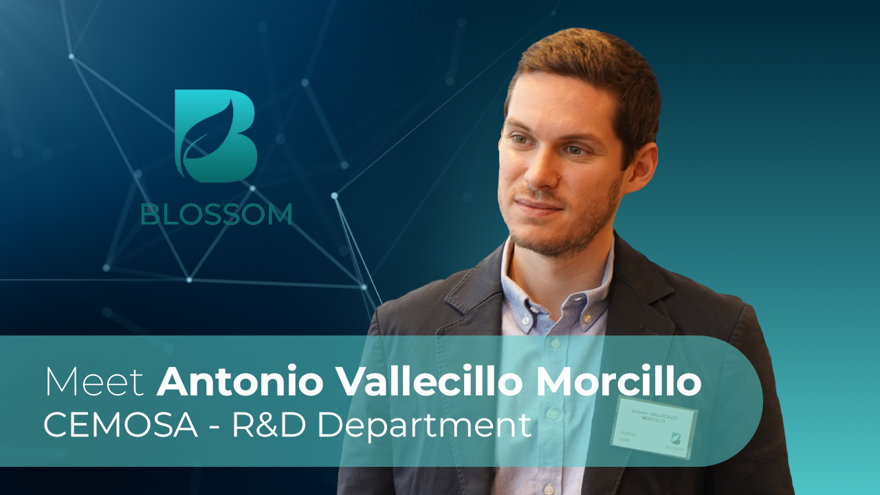 Antonio Vallecillo